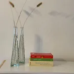 Apartament Zentrale In Sova 2 *