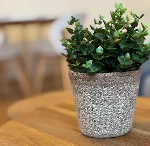 Zentrale In Sova 2 格拉茨